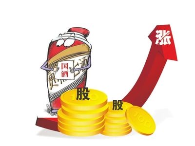 貴州茅臺(tái)股價(jià)上漲，誰是終極大Boss?